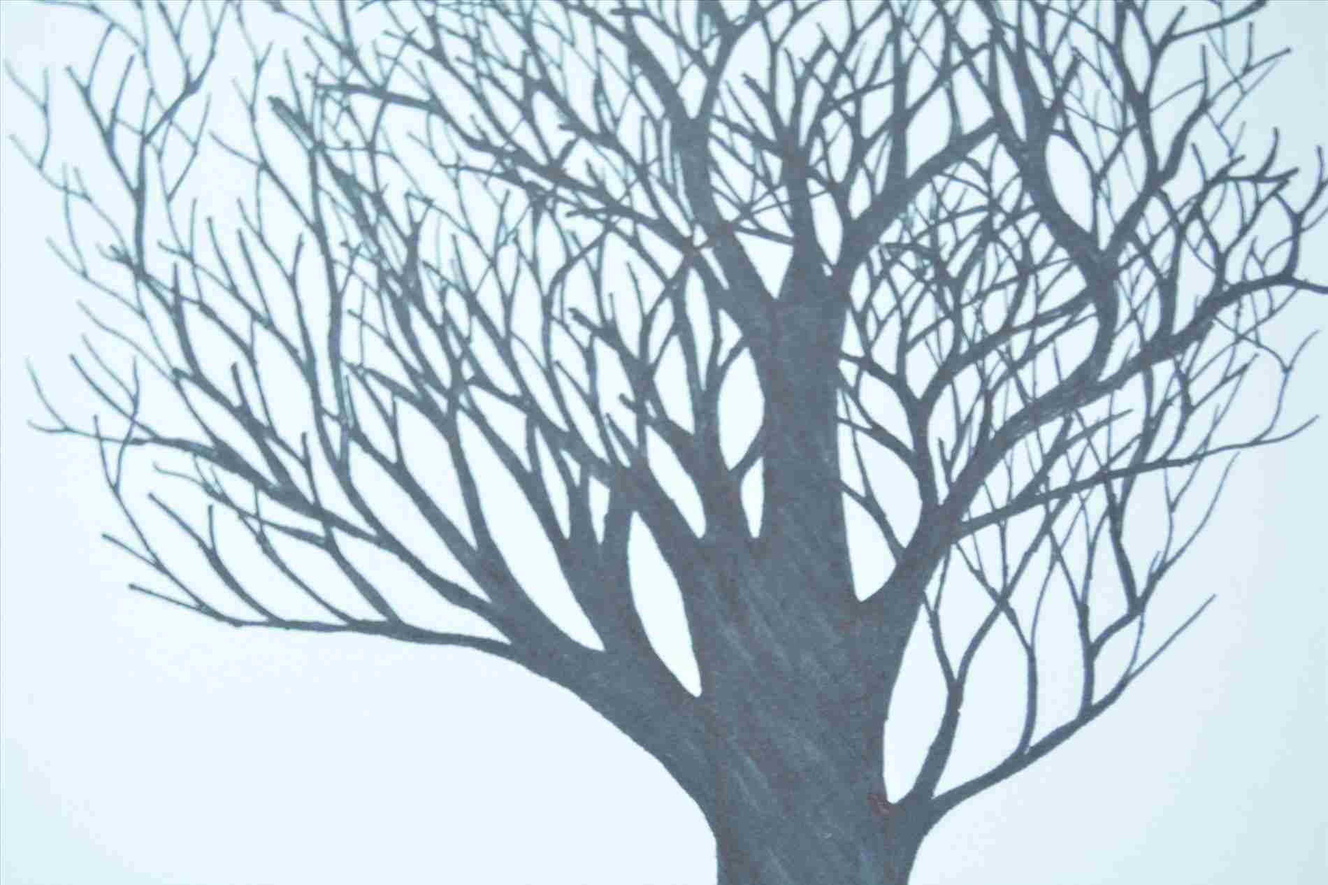 1900x1266 Realistic Tree Drawing Without Leaves Drawing Fine Art - Tree Drawing No Leaves