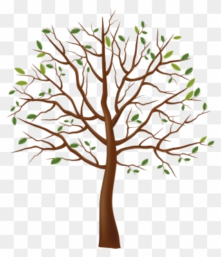320x372 Tree Clipart Png Clipground Lpn Clip Art Nursing School - Tree Drawing No Leaves