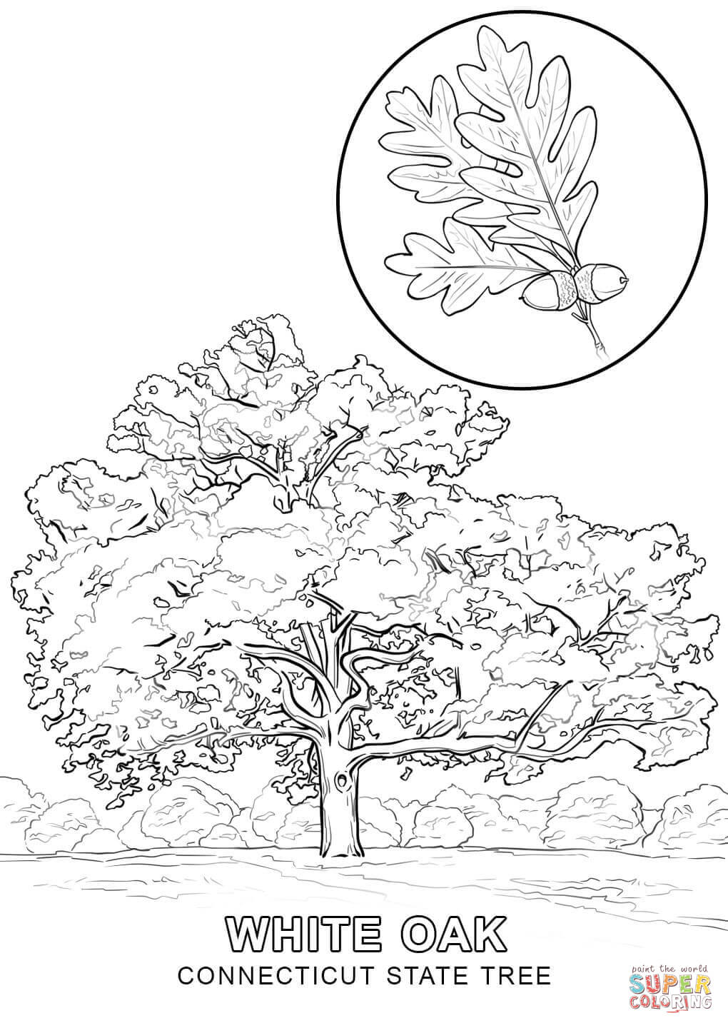 1020x1440 Tree Drawing No Leaves - Tree Drawing No Leaves