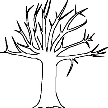 350x350 Tree Template No Leaves - Tree Drawing No Leaves