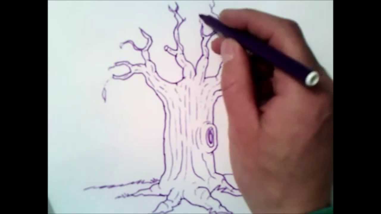 1280x720 How To Draw A Tree Without Leaves How To Draw A Tree Without - Tree Drawing No Leaves