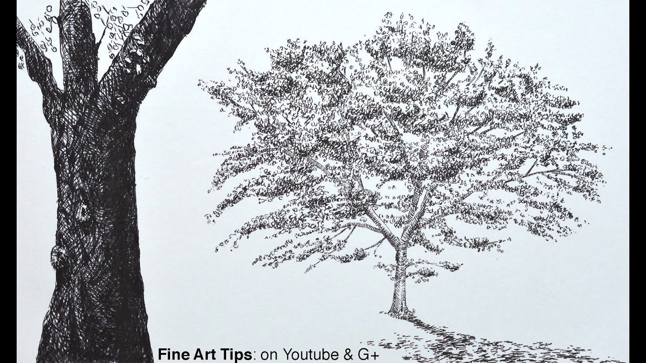 1280x720 how to draw a tree with brush pens - Tree Drawing Oak