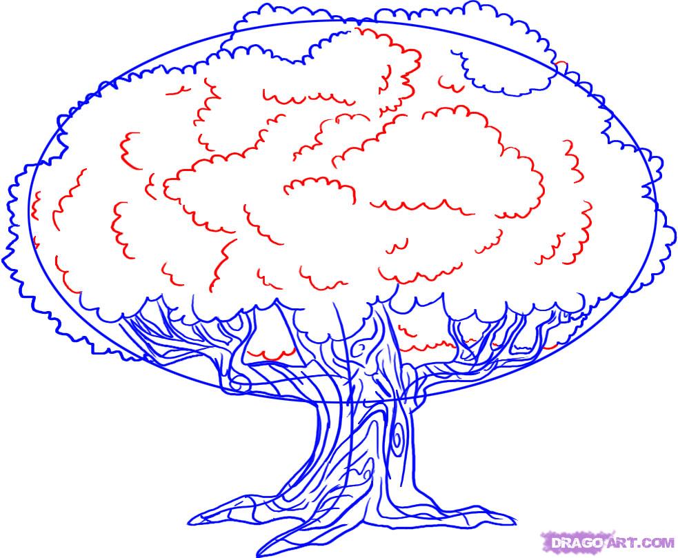 983x809 How To Draw An Oak Tree, Step - Tree Drawing Oak