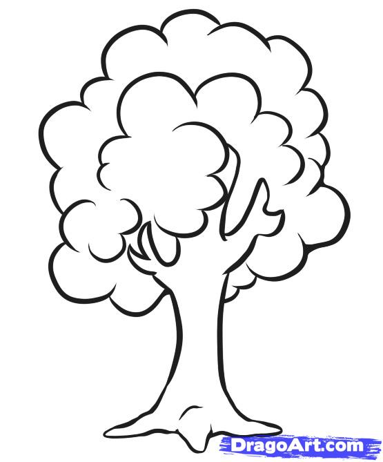 555x669 How To Draw A Simple Tree, Step - Tree Drawing Step By Step