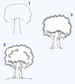 251x280 How To Draw A Tree - Tree Drawing Step By Step
