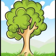 220x220 How To Draw How To Draw A Simple Tree - Tree Drawing Step By Step