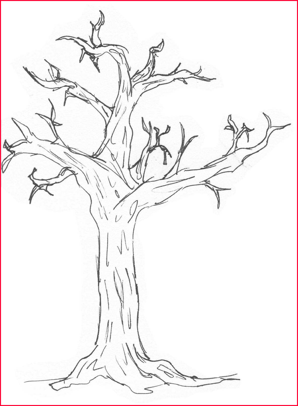 1202x1638 Tree Drawing Easy Easy Tree Drawing Easy Step - Tree Drawing Step By Step