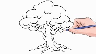 320x180 Tree Drawing - Tree Drawing Step By Step