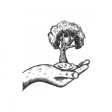 360x360 Tree Drawing Vector Png, Vectors, And Clipart For Free - Tree Drawing Vector