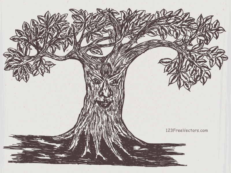 800x600 tree face drawing vector image - Tree Drawing Vector