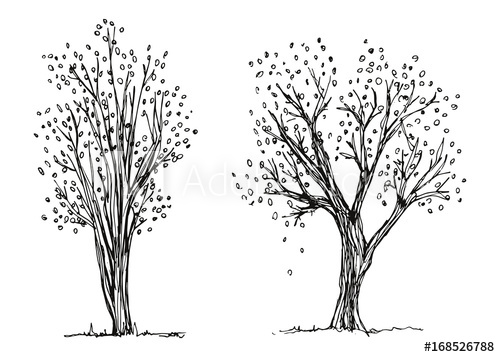 500x357 Trees Autumn Hand Drawing Vector The Foliage Is Falling Sketch - Tree Drawing Vector