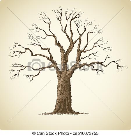 450x470 Clipart Tree Drawing Clip Art Images - Tree Drawing Vector