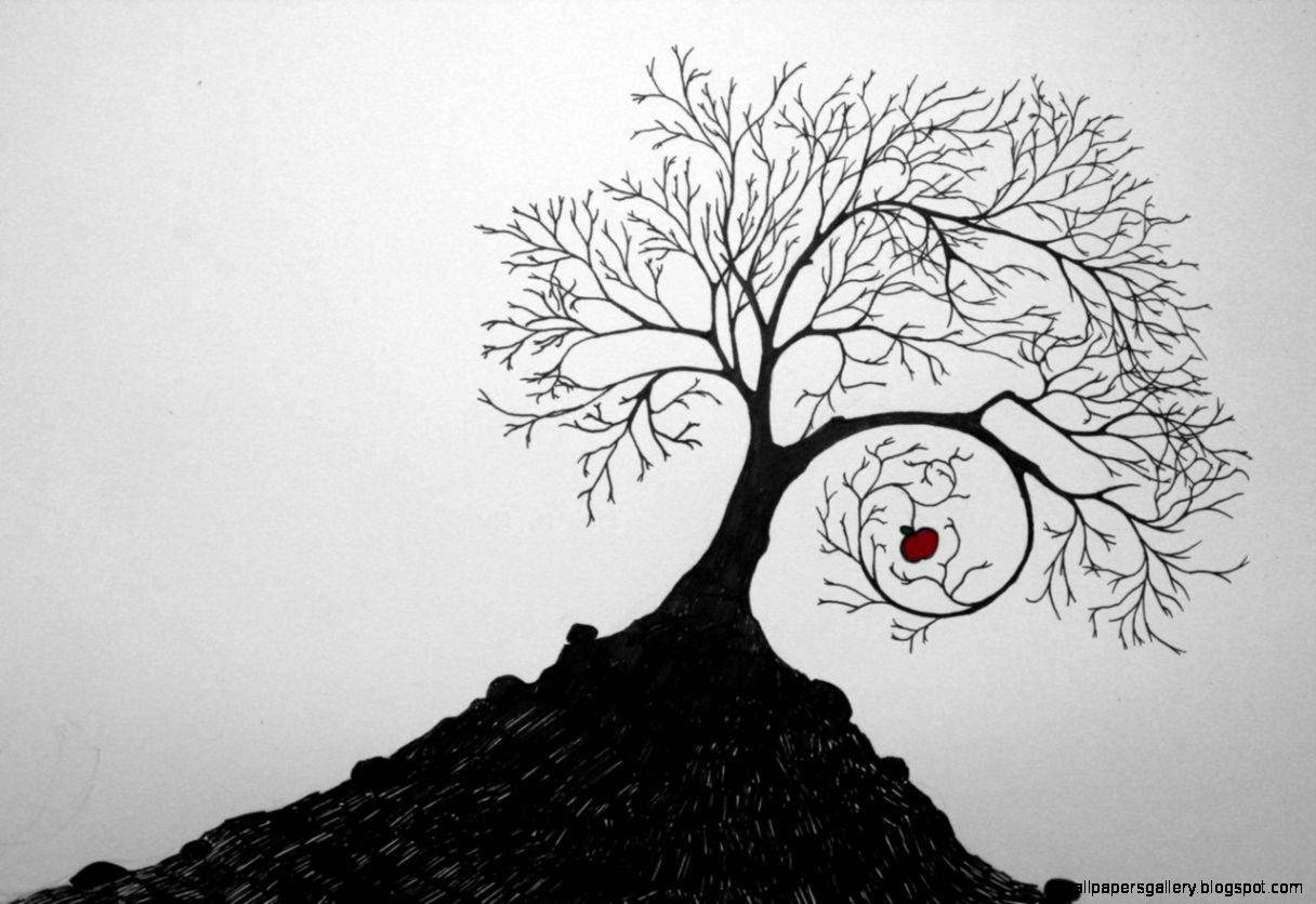 1216x836 Tree Drawing Tumblr Wallpapers Gallery - Tree Drawing Wallpaper