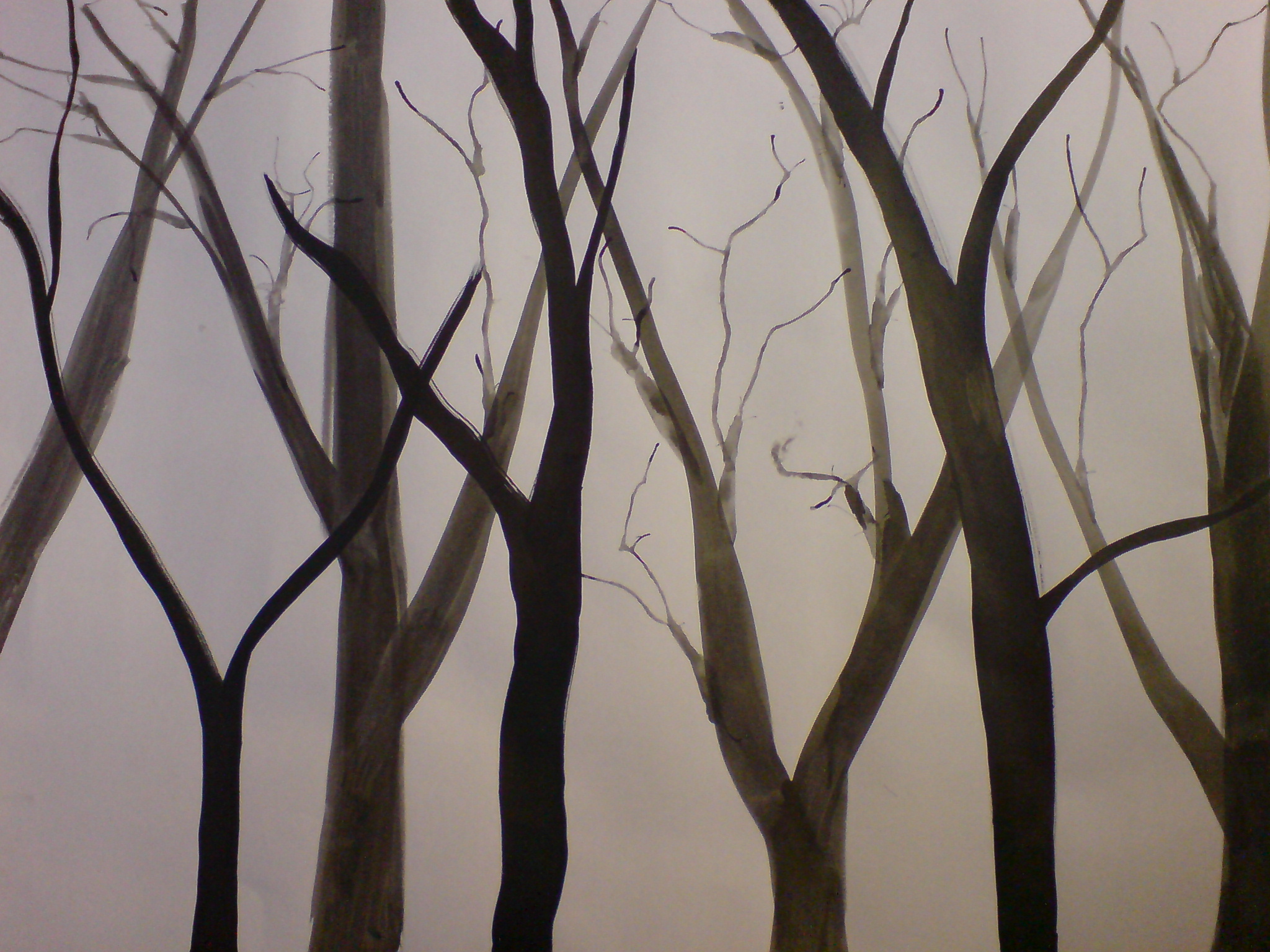 2048x1536 Trees - Tree Drawing Wallpaper