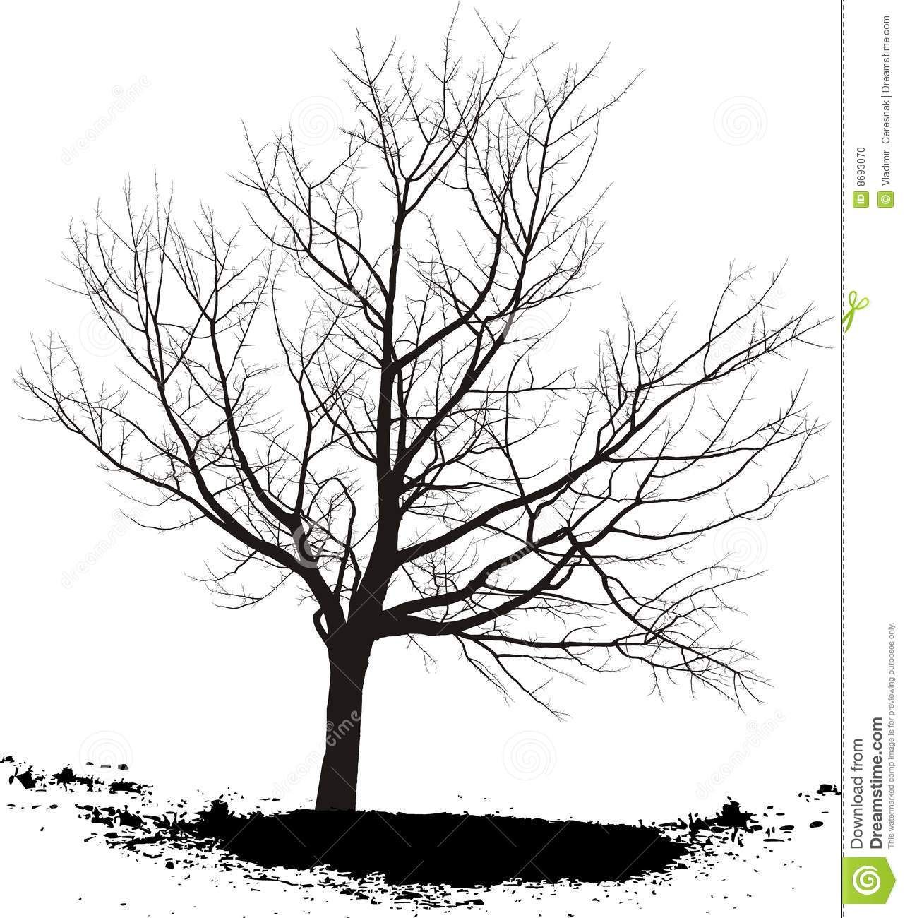 1282x1300 Black And White Tree Drawings Background Hd Wallpapers Tree - Tree Drawing Wallpaper