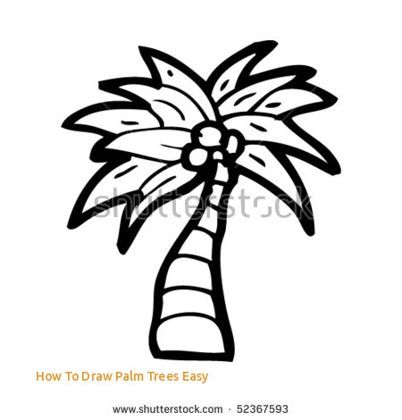 450x470 How To Draw Palm Trees Easy - Tree Easy Drawing