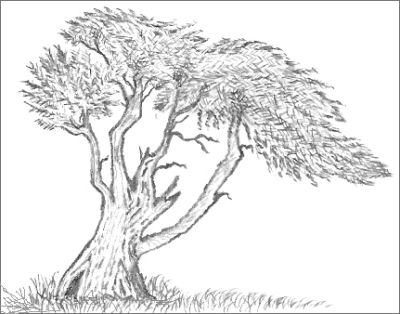 400x314 Japanese Art - Tree Easy Drawing