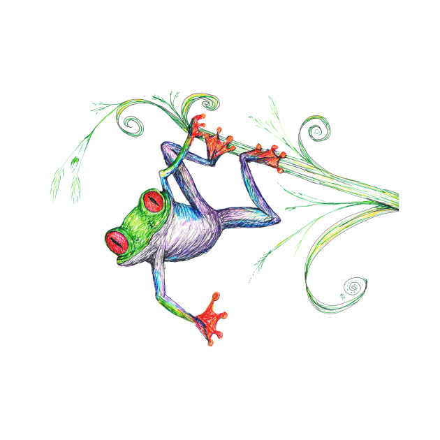 Tree Frog Drawing