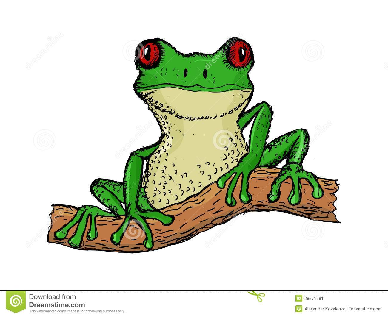 1300x1065 Pacific Tree Frog Drawing - Tree Frog Drawing
