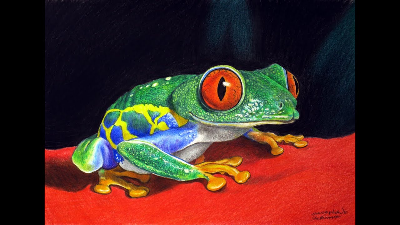 1280x720 free lesson in how to draw realism of red eyed tree frog, time - Tree Frog Drawing