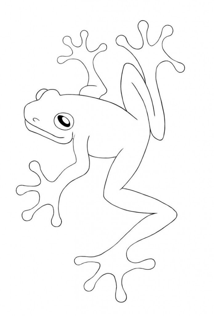 695x1024 free printable frog coloring pages for kids tatto frog - Tree Frog Drawing