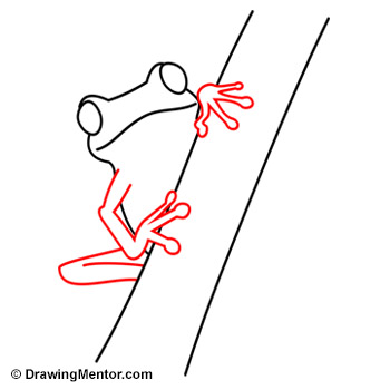 350x350 How To Draw A Frog Tutorial - Tree Frog Drawing