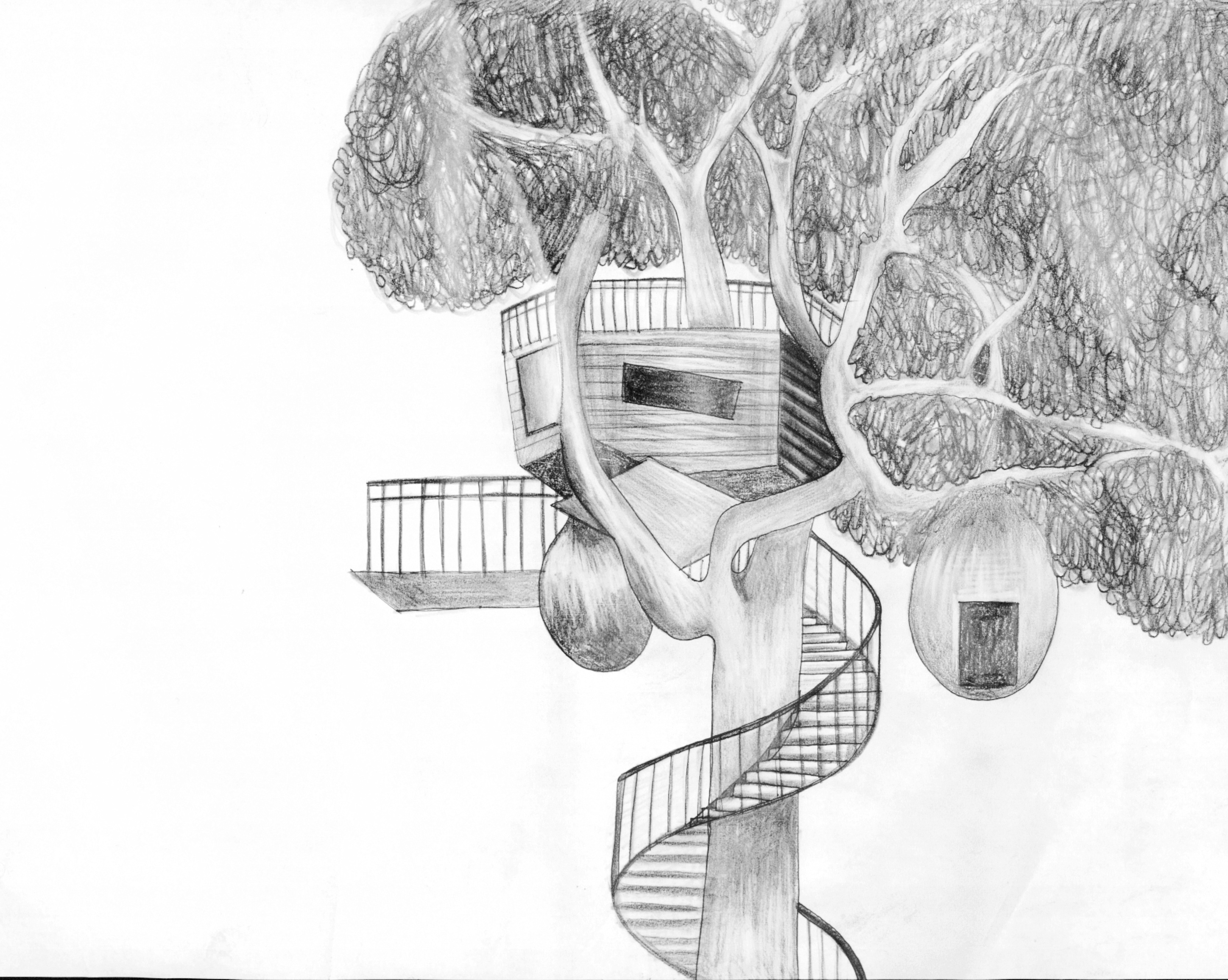 Tree House Drawing At Explore Collection Of Tree House Drawing 7379