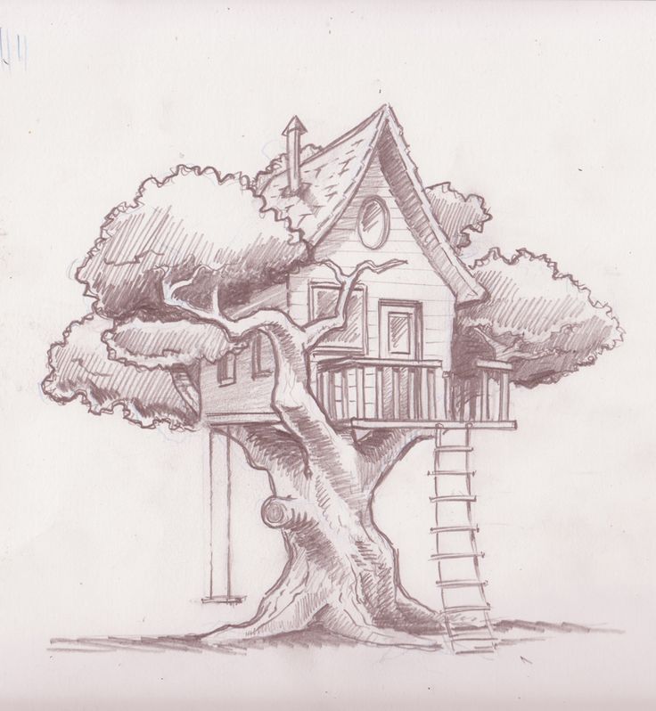736x798 Treehouse Drawings - Tree House Drawing