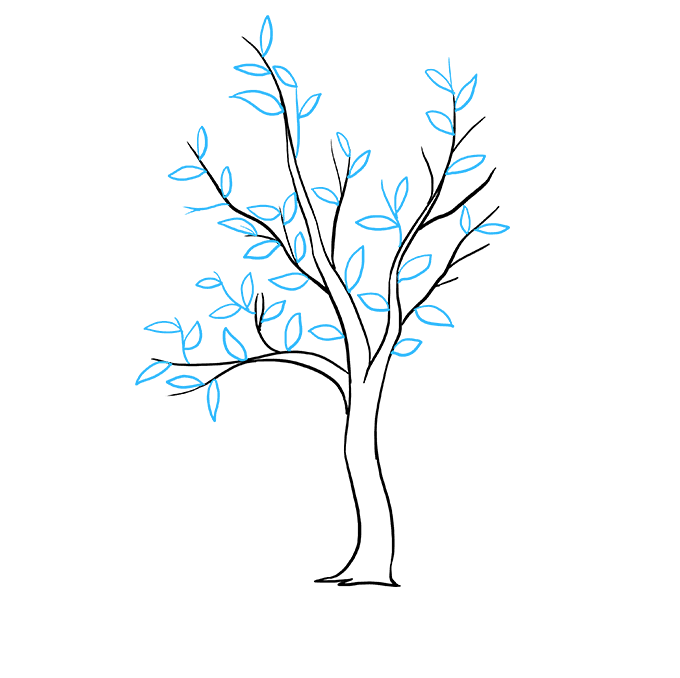 680x678 How To Draw A Fall Tree - Tree Images For Drawing