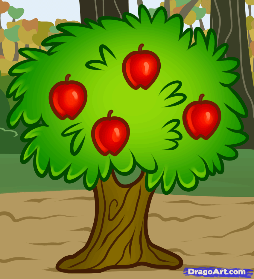849x930 How To Draw A Fruit Tree, Step - Tree Images For Drawing