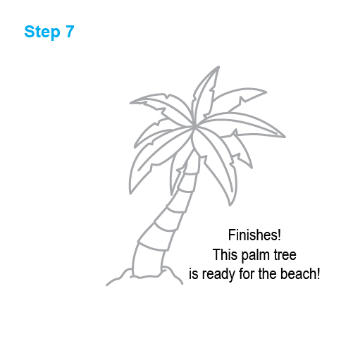501x501 How To Draw How To Draw A Palm Tree - Tree Images For Drawing