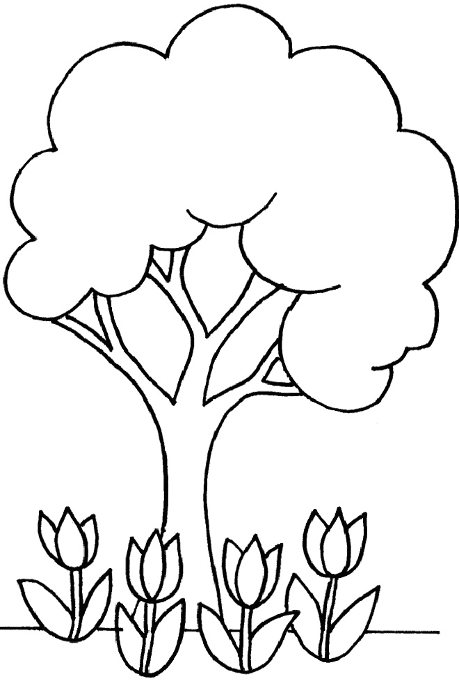 660x978 little tree and flowers coloring for kids tree coloring pages how - Tree Images For Drawing