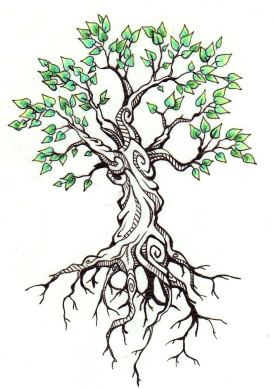 555x788 Tree Drawing Tattoo - Tree Images For Drawing