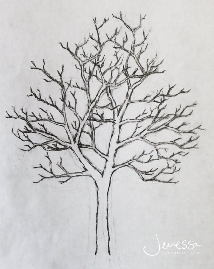 720x904 Pictures Of Trees Drawing Jmariemi How To Draw A Tree Pen - Tree Images For Drawing