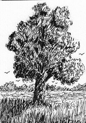 282x400 aceo original x in pen ink drawing, tree in the field - Tree Ink Drawing