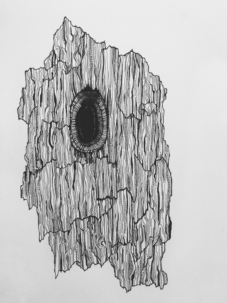 794x1059 intricate handmade tree bark ink drawing etsy - Tree Ink Drawing