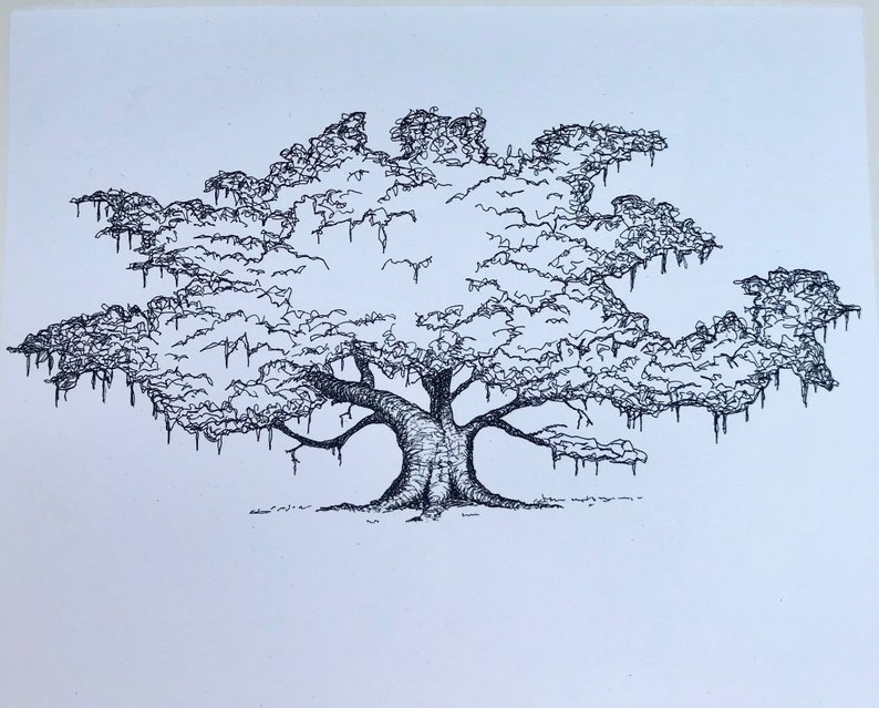 794x639 Oak Tree Art Pen And Ink Drawing Louisiana Art Print Etsy - Tree Ink Drawing