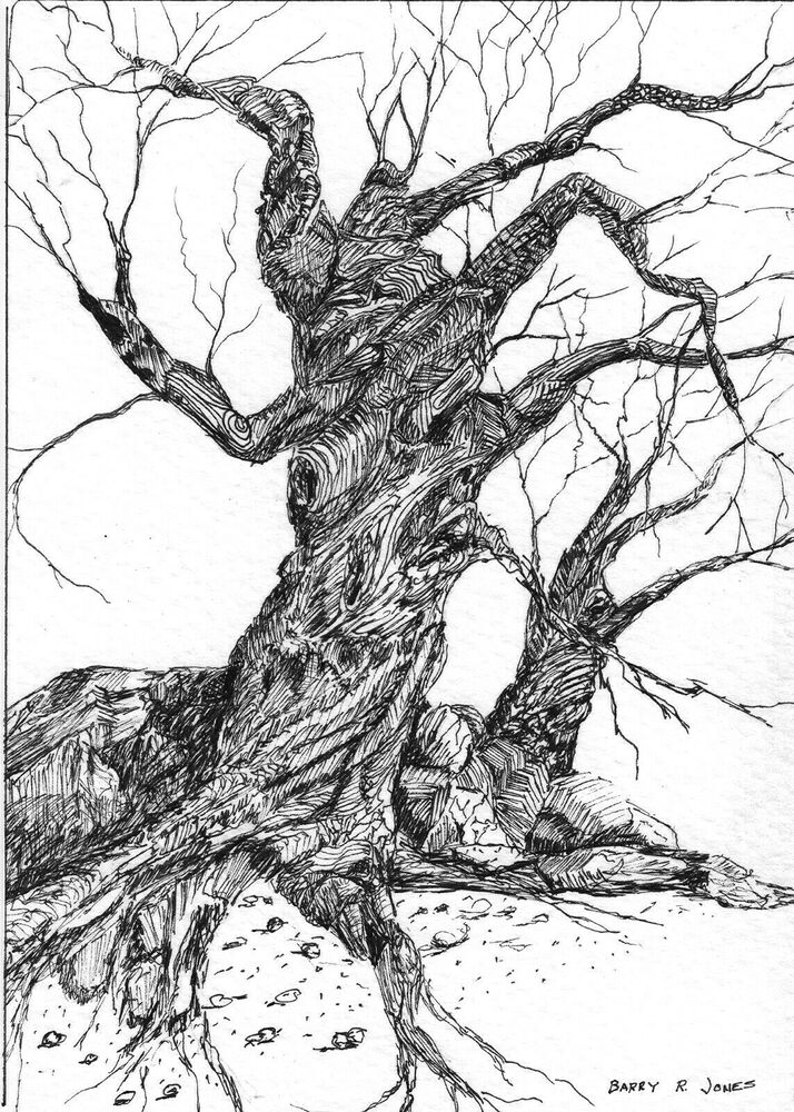 Tree Ink Drawing at PaintingValley.com | Explore collection of Tree Ink ...