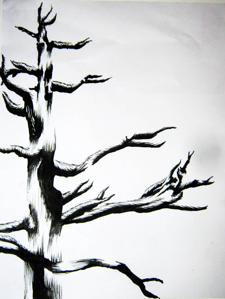 775x1031 Tree Ink Drawing - Tree Ink Drawing