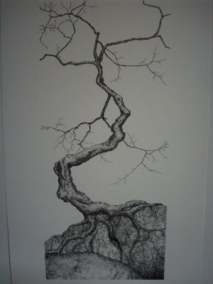 300x400 Tree On Rock Pen Ink Print - Tree Ink Drawing