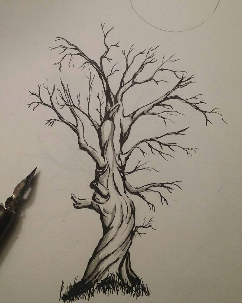 800x1000 Twisted Tree Ink Drawing - Tree Ink Drawing