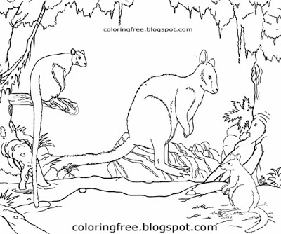 400x334 Tree Kangaroo Drawing - Tree Kangaroo Drawing