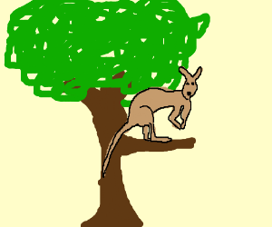 300x250 Tree Kangaroo Drawing - Tree Kangaroo Drawing