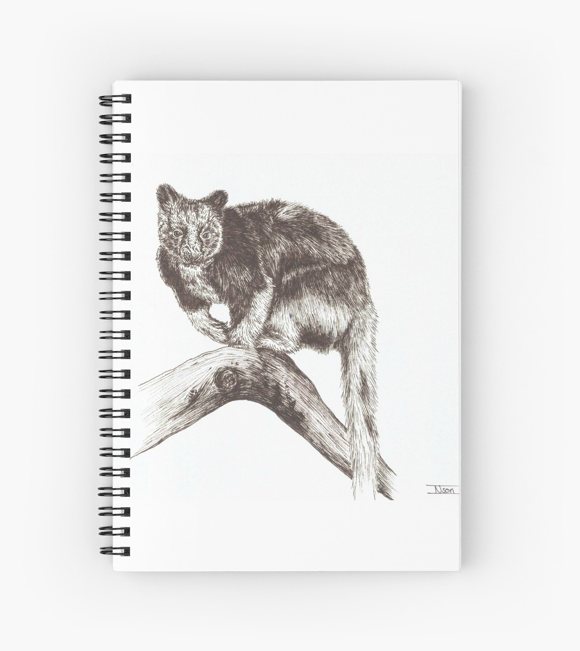 1171x1313 Wondiwoi Tree Kangaroo Spiral Notebooks - Tree Kangaroo Drawing