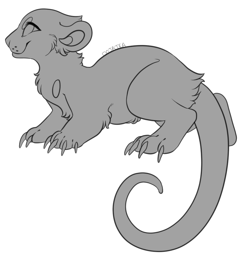 858x900 Drawing Kangaroos Basic Transparent Png Clipart Free Download - Tree Kangaroo Drawing