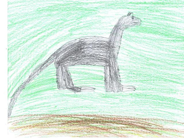 640x480 drawn kangaroo tree kangaroo - Tree Kangaroo Drawing