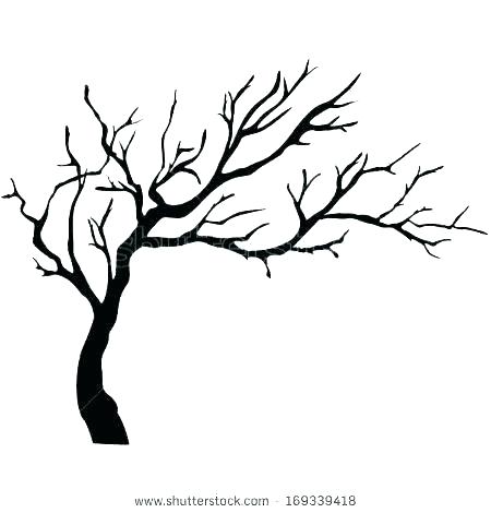 450x470 drawing family tree coloring pages in images with coloring tree - Tree Kid Drawing
