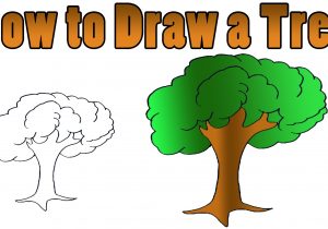 300x210 kid tree drawing kid tree drawing at getdrawings free - Tree Kid Drawing