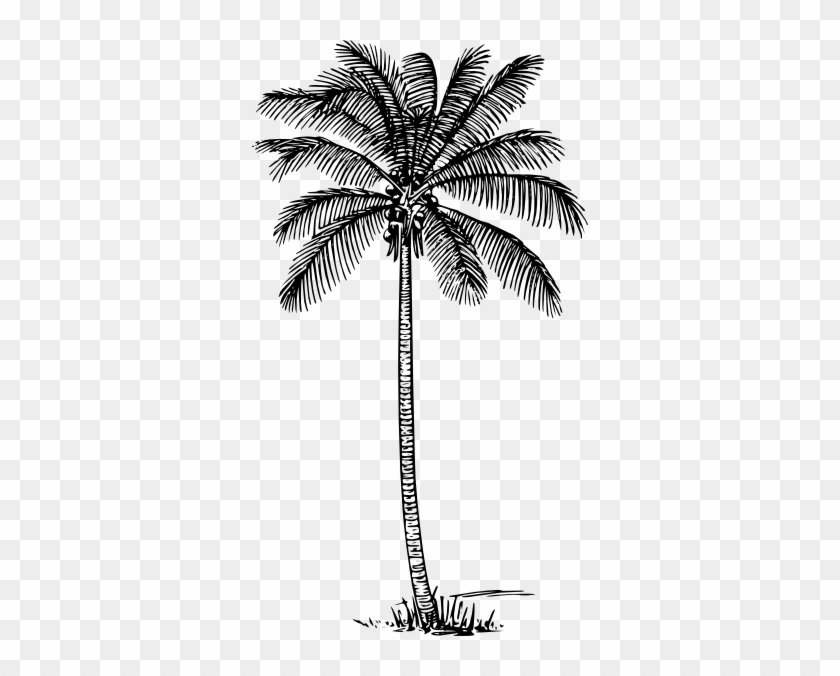 840x676 Coconut Tree Clipart Kid - Tree Kid Drawing