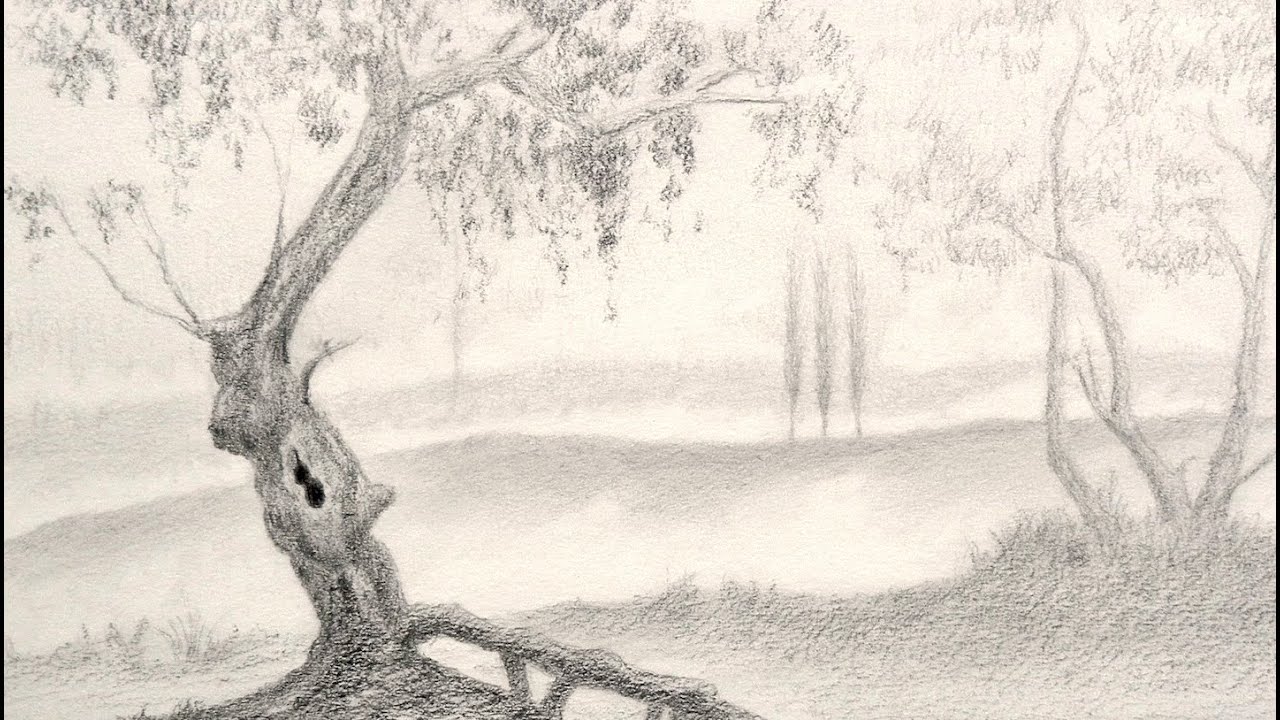 1280x720 How To Draw A Tree - Tree Landscape Drawing